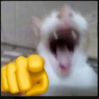 t/g nhìn c@k
