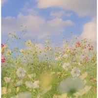 Nhân vật quần chúng