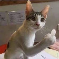 cân mọi loại vai