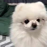 tg