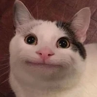 t/g xàm l.òn