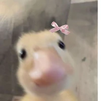Yuyu🦆[Tác Giả]