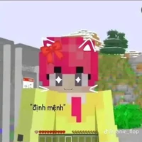 hiha(cục bông hồng)