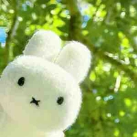 vải 🐰
