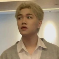 Hoàng Đức Duy ( bông)