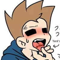 mèo tom