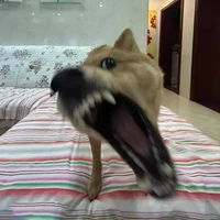 tg