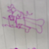 kevin