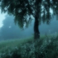 ai chả được