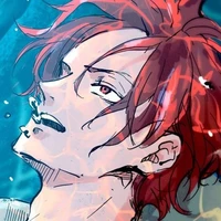 Shanks