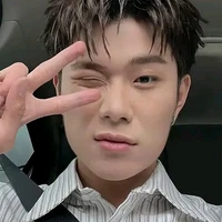 dương domic
