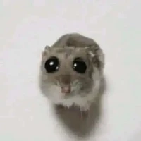t/g