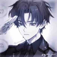 Hoàng Long Nam-Shatoshi