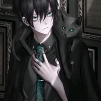 toàn mèo đen