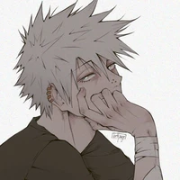 Todoroki Touya