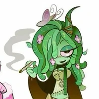 vineria đẹp nhưng hói