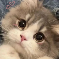 t/g cutiii