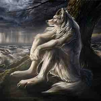 sói cô độc😞💔