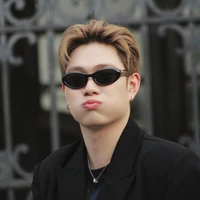 dương domic