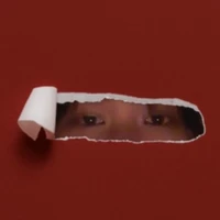 T/g gọi tên GẤU 