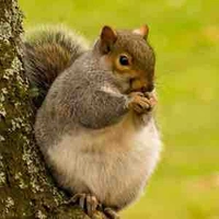 Tác giả is me🙋‍♀️