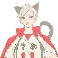 Lev Haiba