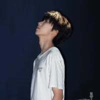 Nhiếp Vĩ Thần(T)