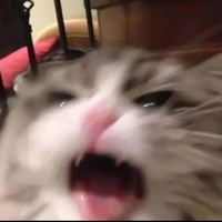 T/G bất ổn