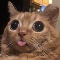 :>
