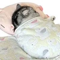 Shi đây rồi🐧