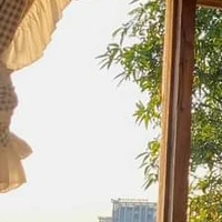 all lớp 