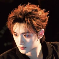 Đinh Trình Hâm