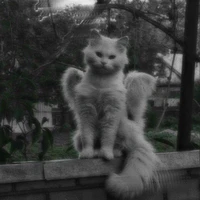 #𝐇𝐞𝐓𝐡𝐨𝐧𝐠¹ⁿ²⁹