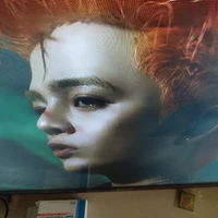 Tongtai Chuột bá đạo của các baoboi