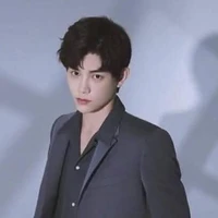 Đinh Vũ Hề