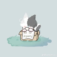 |siro|báo