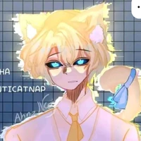 hiha anticatnap