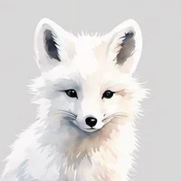 Myobu - Suri