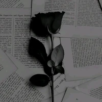 𝐇𝐚̀𝐃𝐮♩