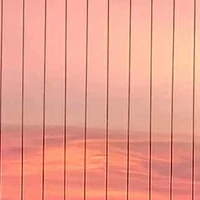 𝕋𝕠̛̀ 𝕋𝕠̛̀