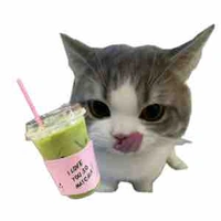 Vợ Roái Đờ