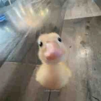 Hệ thống cứu vớt 