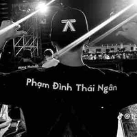 𝕡hạm Đình Thái Ngân