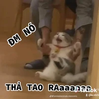 đa nhân vật