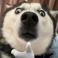 t/g tới đây!!