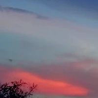 Con người ghét tiếng anh