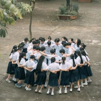 All(ảnh minh họa)