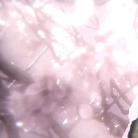 𝙷𝚒𝚑𝚊 𝚊𝚞𝚝