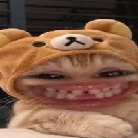 con chó nhà t (con em👅)