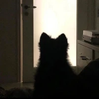 Hệ thống 018 - Haru